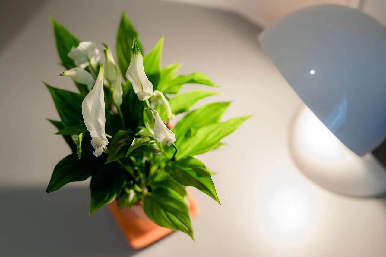 Hotel Florjanckov Hram Laibach Slowenien